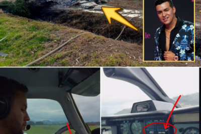 Accident Report Highlights Ignored Cockpit Warning as Key Factor, Offering a Crucial Aviation Safety Lesson