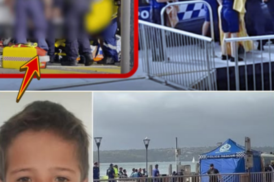Haunting Video Shows Recovery Process After Fatal Shark Attack on 12-Year-Old Boy