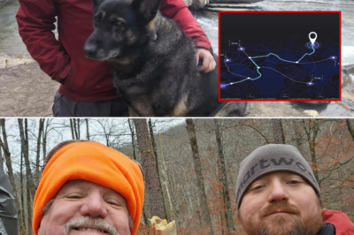Shock Development: Surveillance Footage and GPS Signal Resurface in Chris Palmer Kayak Mystery