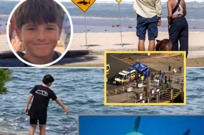 Family of Teen Hero Speaks Out After Sydney Harbour Shark Attack — and the Aftermath Is Far More Painful Than Anyone Realized