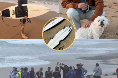 “It’s Eating Me! It’s Killing Me!”: Sydney Shark Attack Leaves Surfer Alive but Permanently Changed