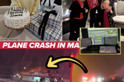 Mysterious Words Before Crash: ‘Let There Be Light’ and the Unsettling Silence from Bangor’s Runway