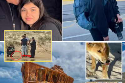 Bombshell Autopsy Details Raise New Questions in Death of Canadian Teen Girl Found Surrounded by Dingoes