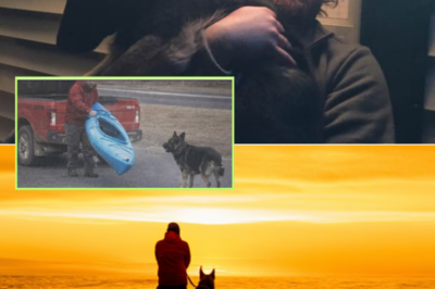 Witness Says Chris Palmer Stood Silently With His Dog, Staring at the Ocean for a Long Time Before Disappearing