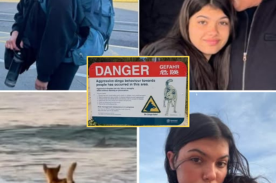 The parents of a 19-year-old backpacker whose body was discovered in the Australian wilderness surrounded by dingoes have spoken publicly for the first time, breaking their silence to condemn calls for a mass cull of wild dogs and to share the painful reflections they have carried since her death.