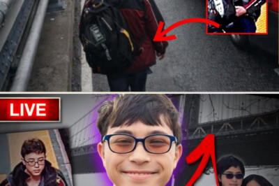 Thomas Medlin Seen Walking Onto Manhattan Bridge Pedestrian Path; Camera Shows Him Going Up, But Never Coming Down