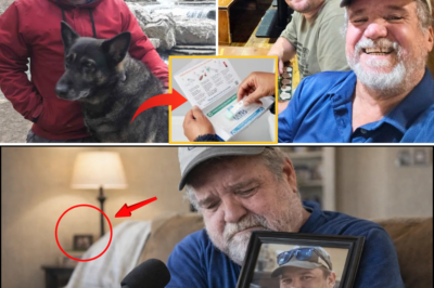 🌊🕯️ Chris Palmer, Missing Outer Banks Hiker Who Vanished with His Dog, Is Presumed Dead as Family Suggests His Final Trip Was Not Random