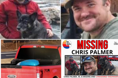 Search Teams Find a Shirt Left Behind and Fading Dog Paw Prints — New Clues Deepen the Chilling Mystery of Chris Palmer’s Disappearance 🐾👕🌊