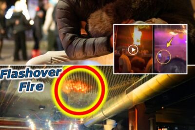 This Is Why It Became Deadly: The Split-Second Mistake That Turned New Year’s Joy into a Nightmare in the Swiss Alps