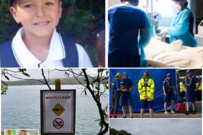 Our Nico Is Just Sleeping” 😭🦈 Family’s Devastating Words After Shark Attack Leaves 12-Year-Old Boy Unresponsive