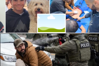 ‘He Apologised While Dying’ 💔 The Final Words of a Boy Mauled by a Shark in Sydney Harbour 🦈’ 💔 A Mother Reveals Her Son’s Final Words After the Sydney Harbour Shark Attack 🦈