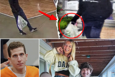 😱🧤 Unseen Walmart Surveillance Reveals Chilling Behavioral Shift — New Video Shows Bryan Kohberger Wearing Gloves Obsessively After Idaho Student Murders, Raising Disturbing New Questions 🕵️‍♂️📹