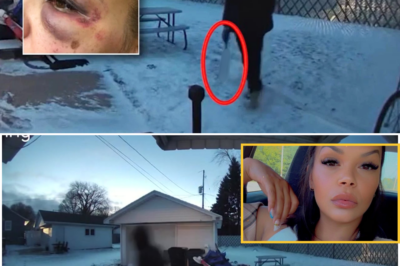 😢⚾ Caught on Doorbell Camera: Pregnant Mother Screams as Two Assailants Be@t Her With a Bat, Targeting Her Unborn Ch!ld