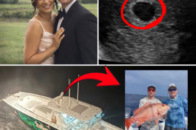Heartbreaking Twist: Pregnant Wife of Missing Florida Lawyer Brandon Billmaier Learns of Baby Joy While Awaiting News from Desperate Search – Doctors Fear for Her Health Amid Agony
