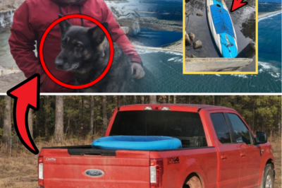 Mystery Deepens in Chris Palmer Disappearance: Inflatable Kayak Found on Desolate Beach as Police Rule Out West Virginia Exit