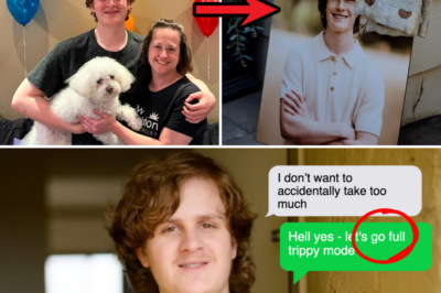 Teen Turned ChatGPT Into His ‘Drug Buddy’ for Months – Then He Died of Overdose: Mom’s Chilling Warning Exposed
