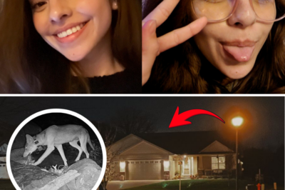 Neighbor’s Dog Barks Non-Stop for 7 Hours – Police Uncover Chilling New Clues at Camila Mendoza Olmos’ Last Known Location