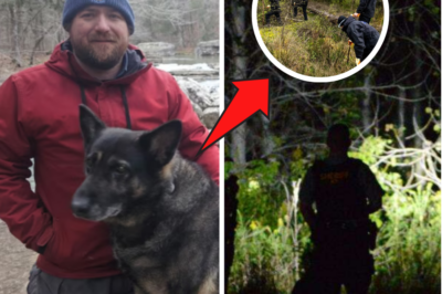 🚨BREAKING: Police Hear Eerie Dog Barks Echoing from Southeast – Exactly 36km from Missing Hiker Chris Palmer’s Abandoned Tent… 3 Haunting Barks, 3 Seconds Apart