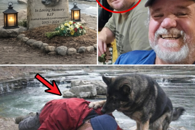 Heartbroken Dad Reveals Tragic Fate of Missing Hiker’s Loyal Dog Zoey: ‘She Was By His Side Since Puppyhood’ 💔
