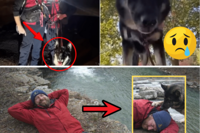 Heartbroken Family’s Shocking Confession: Missing Hiker and His Loyal German Shepherd ‘Presumed Dead’ – But the Tragic Truth Will Leave You in Tears!