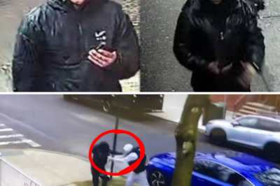 Teen Killer Walks Free Without Bail in Gang Assault — Just Months Before Stabbing 17-Year-Old Stranger to Death in Broad Daylight Shock!