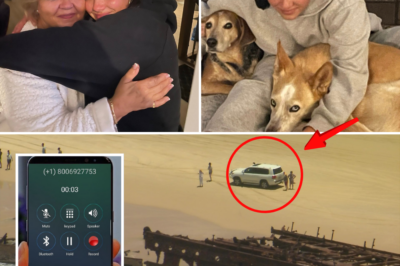 🚨 BREAKING: Piper James’ LAST audio from the beach… just WAVES crashing peacefully. NO dog barks. NOTHING