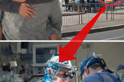 Sydney Shark Attack Victim Nico Antic Dies After Week of Critical Care: Medical Efforts Fail to Overcome Severe Injuries