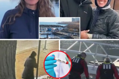 Linda Brown’s Body Found Unrecognizable in Lake Michigan: The Heartbreaking Moment DNA Confirmation Caused Her Husband to Collapse