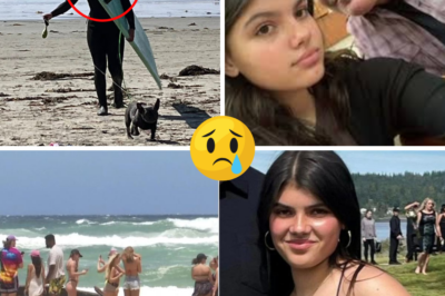 Heroic Rescue Turns Tragic: Witness Says Piper James Saved Drowning Boy Before Dingo Attack Overwhelmed Her