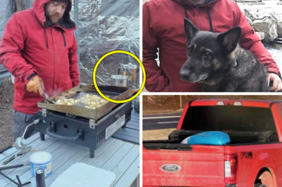 Discovery of Abandoned Cooking Gear Deepens Mystery in Search for Missing Adventurer Chris Palmer