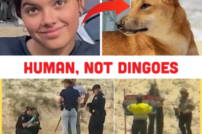 Shocking Police Hypothesis Emerges in Piper James Death: Dingoes Framed? Defensive Wounds Suggest Human Struggle