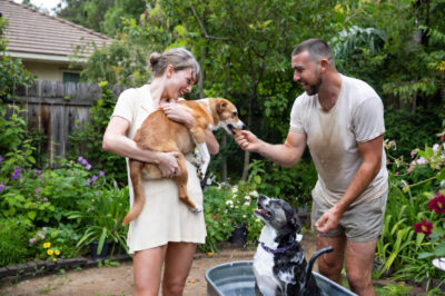 Taylor Swift & Travis Kelce’s Secret Act of Kindness: They Adopted an Entire Pack of Homeless Dogs and Care for Them Daily – Wait Until You Hear What They Do Next! 😍🐶❤️