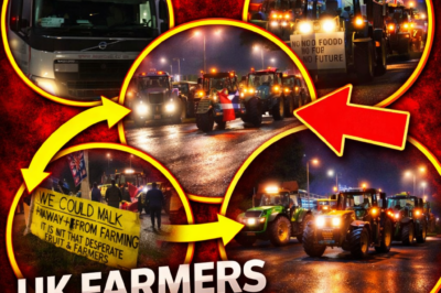 Farmers Block Felixstowe Port in Dramatic Overnight Protest as Cheap Imports and Tax Reforms Threaten UK Agriculture