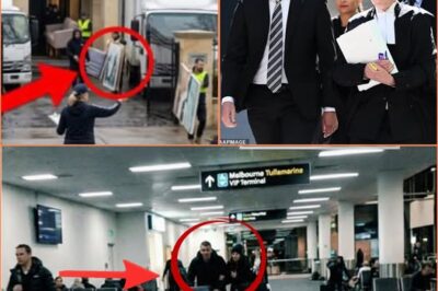 Midnight Flight to Rome: The Silvagni Parents’ Alleged Escape With Millions Hidden in a Handbag