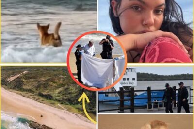 Piper James Dead for at Least One Hour Before Discovery: Coroner Rules Dingoes Not Cause of Death