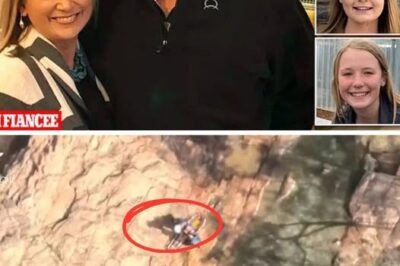 The Five Words That Haunt Forever: Groom David McCarty’s Final Message Before the Unthinkable Tragedy