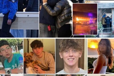 Buried Beneath the Ashes: The Gruesome Discovery That Closed Switzerland’s Darkest Chapter