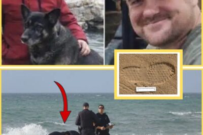 5 minutes ago: Police confirm Chris Palmer wasn’t alone with his dog Zoey; strange footprints near the car reveal everything that happened that afternoon