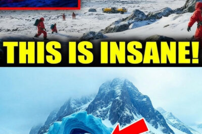 Mystery Deepens Under Antarctica: Reports of Massive Hollow Structure Beneath Thwaites Glacier Spark Wild Speculation About ‘Moving’ Anomaly
