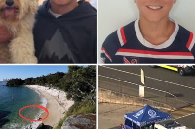 Three Whispered Words That Ended a Young Life: Nico Antic’s Tragic Last Moments in Sydney Harbour