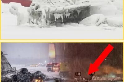 Black Box Horror: Pilot’s Last Cry – “Heavy on the Wing, No Lift” – Seconds Before Doomed Flight Plummets in Maine