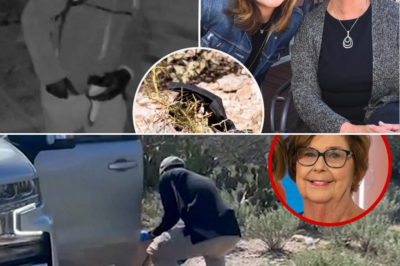 Black Gloves Found Along Road 🚨🧤 Could DNA Finally Unmask Nancy Guthrie’s Kidnapper?