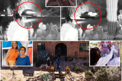 Night of Disappearance Captured on Video 🌙📹 Unseen Footage Shows Cars Moving Near Nancy Guthrie’s Tucson Home—Key Clue or Coincidence? 🚨