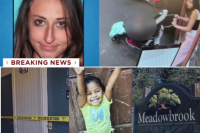 🚔 “$1 Million Bond… And a Secret Betting Circle?” — New Motive Surfaces in the Search for Missing Toddler Genesis Reid 🩷🔥