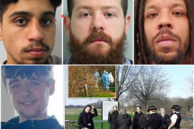 🕯️🔥 Teen Tyler Donnelly Stabbed to Death in Park — Jury Finds Three Guilty After Ch!lling Bl00dy Hoodie Discovery