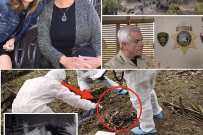 While specific details about the man’s appearance beyond his height and unfamiliarity remain limited in public reports, the account has contributed to growing concern among locals and investigators