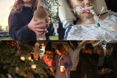 The Power of a Whisper: How Maya Gebala’s First Words Became a Beacon of Hope