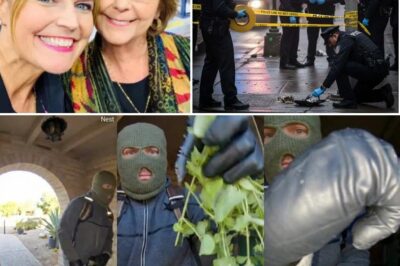 Searches have covered rugged foothills around the Catalina area, with ground teams, aerial support, and community volunteers involved