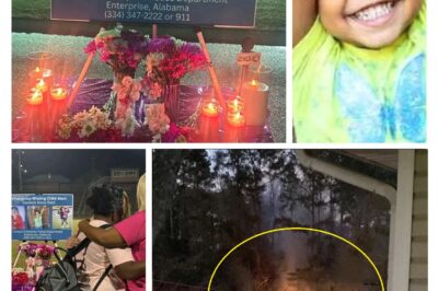 They commented on whether such activity was investigated or if evidence was recovered from the site