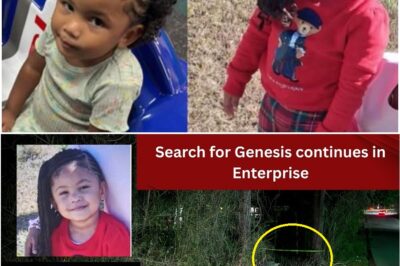 Initial responses involved ground searches of the neighborhood, apartment grounds, and nearby wooded areas